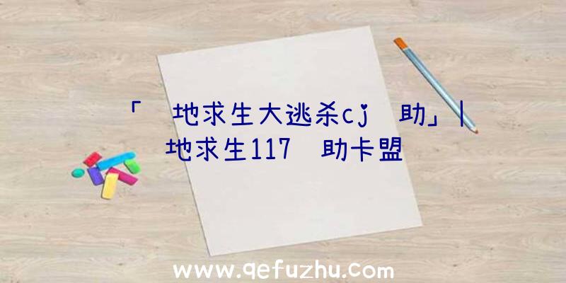 「绝地求生大逃杀cj辅助」|绝地求生117辅助卡盟
